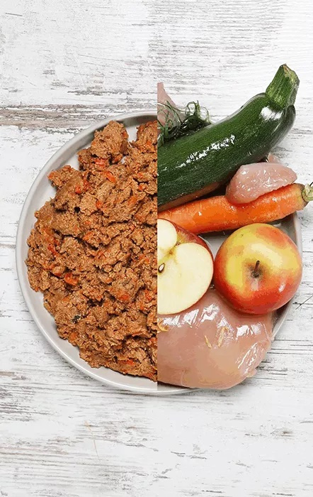 DOG’S LOVE Junior – drób z cukinią i jabłkami dla szczeniąt (200g)
