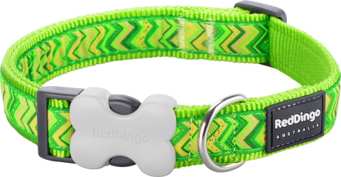 Red Dingo Pizzaz Lime Green rozmiar S - kolorowa obroża dla psa Red Dingo Pizzaz Lime Green rozmiar S - kolorowa obroża dla psa