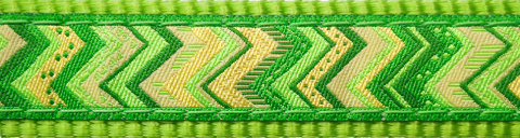 Red Dingo Pizzaz Lime Green rozmiar S - kolorowa obroża dla psa Red Dingo Pizzaz Lime Green rozmiar S - kolorowa obroża dla psa