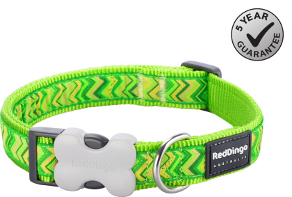 Red Dingo Pizzaz Lime Green rozmiar L - kolorowa obroża dla psa
