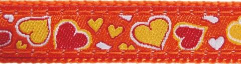 Red Dingo Fixed Lead Design Breezy Love Orange rozmiar M - klasyczna smycz o długości 1,2m Red Dingo Fixed Lead Design Breezy Love Orange rozmiar M - klasyczna smycz o długości 1,2m