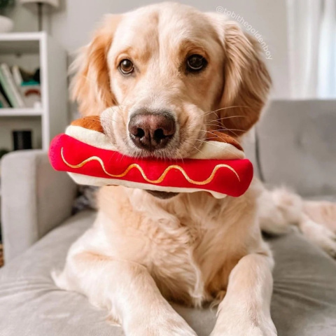 Power Plush Haute Dawg Large - hot dog dla dużego psa Power Plush Haute Dawg Large - hot dog dla dużego psa