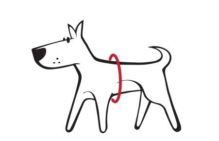 Red Dingo Mesh Harness - lekkie szelki dla psa rozmiar XL - Squiggles Red Dingo Mesh Harness - lekkie szelki dla psa rozmiar XL - Squiggles