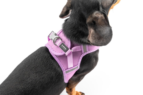 Red Dingo Mesh Harness - lekkie szelki dla psa rozmiar XL - kolor fioletowy Red Dingo Mesh Harness - lekkie szelki dla psa rozmiar XL - kolor fioletowy