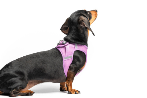 Red Dingo Mesh Harness - lekkie szelki dla psa rozmiar S - kolor fioletowy Red Dingo Mesh Harness - lekkie szelki dla psa rozmiar S - kolor fioletowy