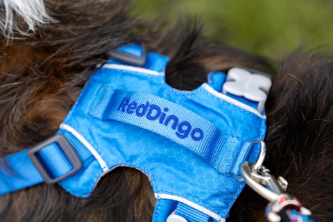 Red Dingo Sport Harness rozmiar S - lekkie szelki dla psa typu Guard - kolor miętowy