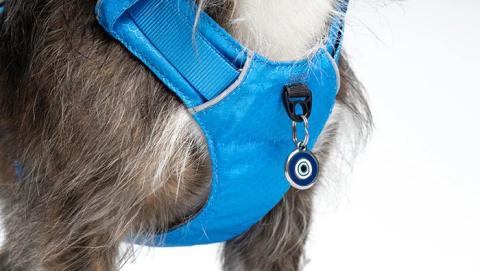 Red Dingo Sport Harness rozmiar S - lekkie szelki dla psa typu Guard - kolor miętowy Red Dingo Sport Harness rozmiar S - lekkie szelki dla psa typu Guard - kolor miętowy