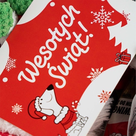 BOX świąteczny dla psa - 3 niespodzianki dla psa