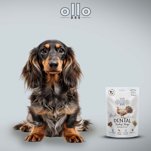 Ollo Dental Turkey - przysmaki dentystyczne dla psa z indyka