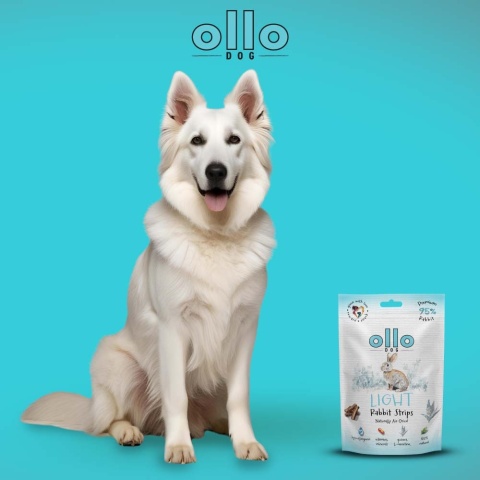 Ollo Light Rabbit - niskotłusczowe - przysmaki funkcyjne dla psa z królika