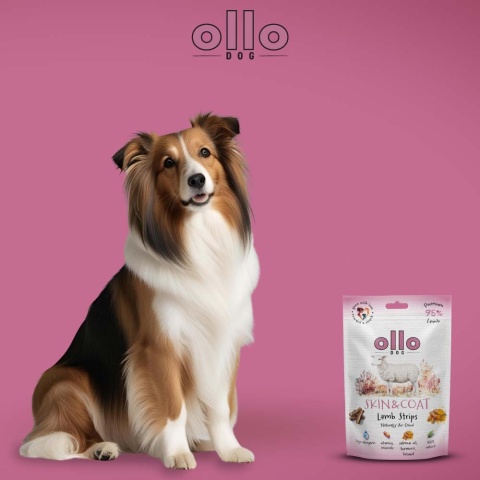 Ollo Skin & Coat - lśniąca sierść - przysmaki funkcyjne dla psa z jagnięciny