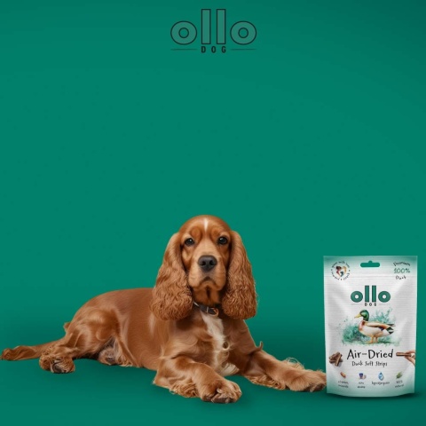 Ollo Duck - naturalne przysmaki z kaczki dla psa  80g