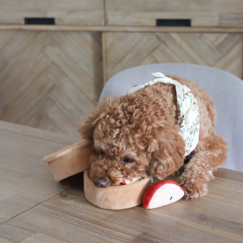 Pups & Bubs APPLE PIE Szarlotka zabawka węchowa