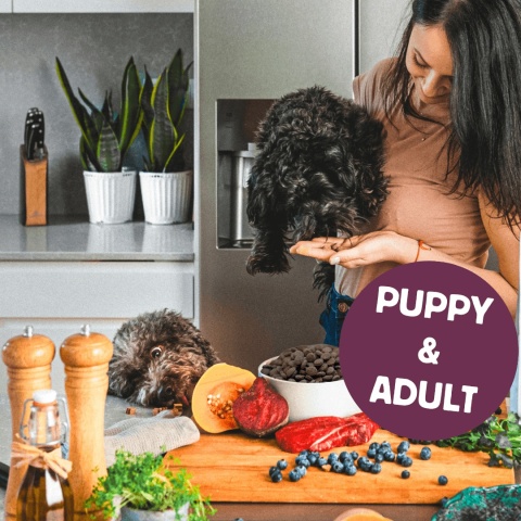 Slow Dog Królik & Superfoods 6kg KARMA TŁOCZONA NA ZIMNO