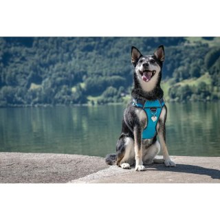 Diamante ID Tag z grawerem Heart