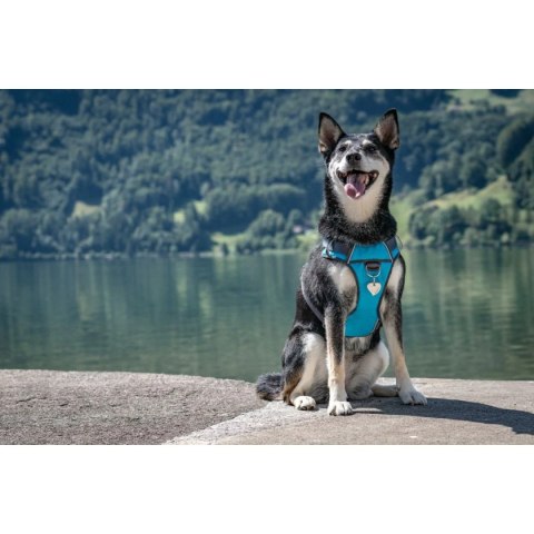 Diamante ID Tag z grawerem Heart