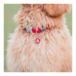 ID Tag z grawerem Alphabet