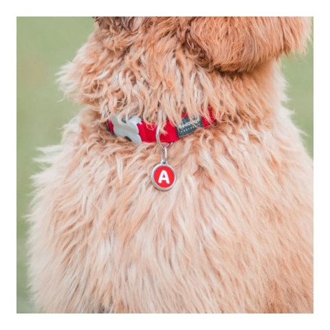 ID Tag z grawerem Alphabet