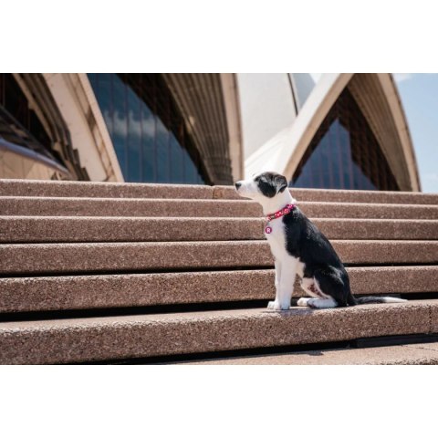 ID Tag z grawerem Alphabet