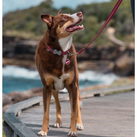 ID Tag z grawerem Comic Bone - czerwony