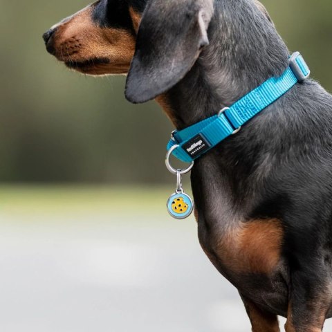 ID Tag z grawerem Cookie - niebieski