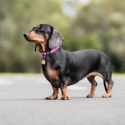 ID Tag z grawerem Cookie - różowy