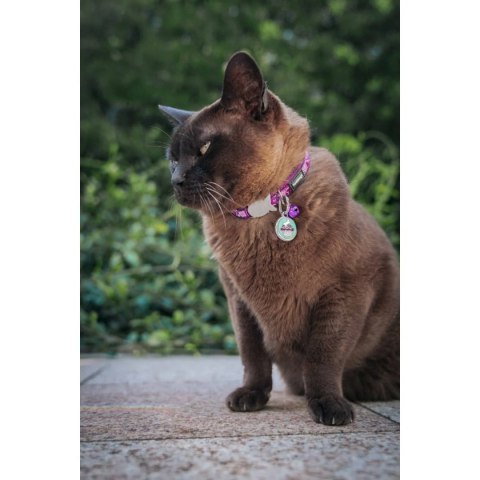 ID Tag z grawerem Cupcake Glitter