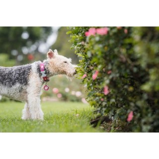 ID Tag z grawerem Daisy Flower - zielony