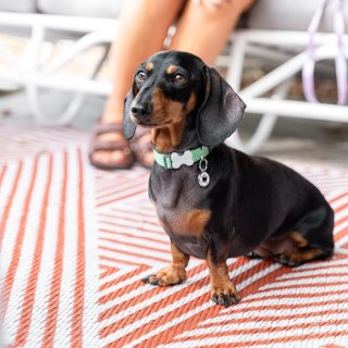 ID Tag z grawerem Devil