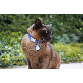 ID Tag z grawerem Fish Skeleton - różowy