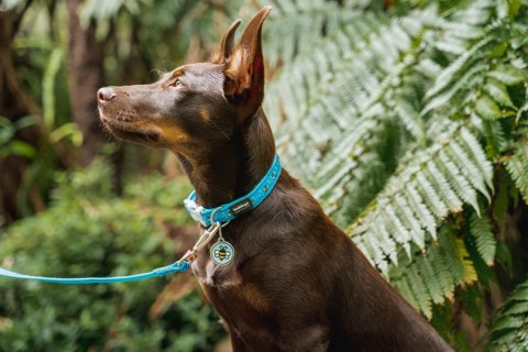ID Tag z grawerem Tag Bumble Bee Light Blue