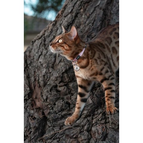 ID Tag z grawerem Tag Bumble Bee Pink