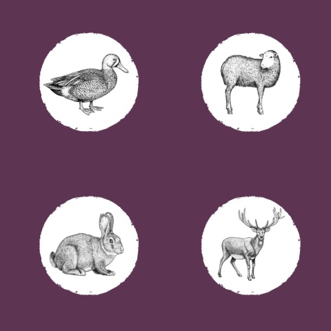 Eden Country Feast półwilgotna karma - dziczyzna z jagnięciną 10 kg