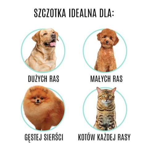 TAURO Szczotka z plastikowym trzonkiem, miękkie piny stal nierdzewna 11 mm, fiolet 17.5x10.6x6.2 cm