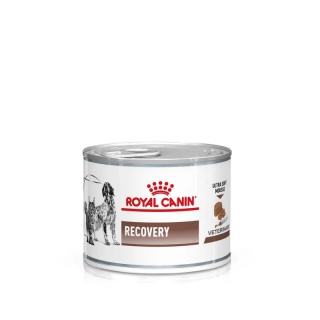 Royal Canin Veterinary Diet Recovery