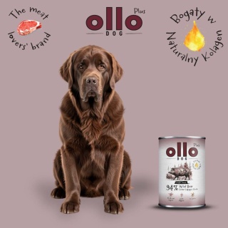 Ollo Plus Kolagen Dzik 800g- Karma mokra dla psa