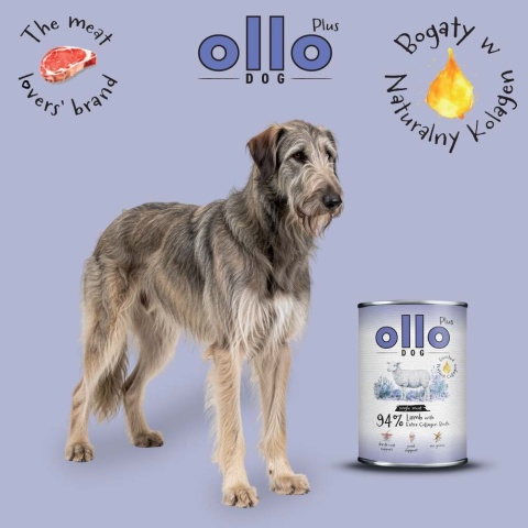 Ollo Plus Kolagen Jagnięcina 800g- Karma mokra dla psa