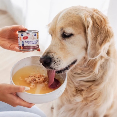 PERRO Bulion z łososiem dla Psa i Kota 140 g