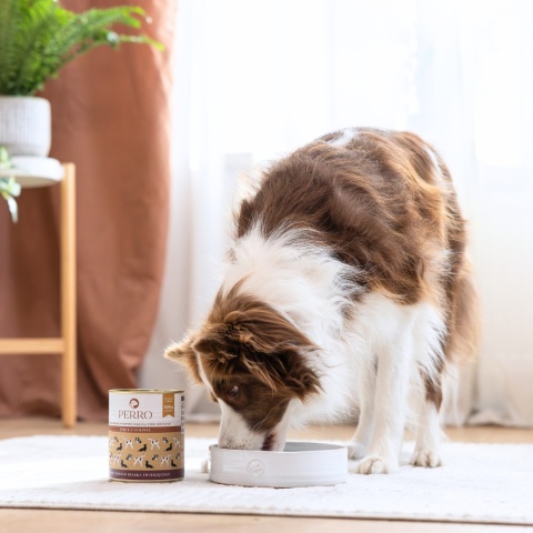 Perro indyk z cukinią – monobiałkowa formuła dla psów dorosłych 400g