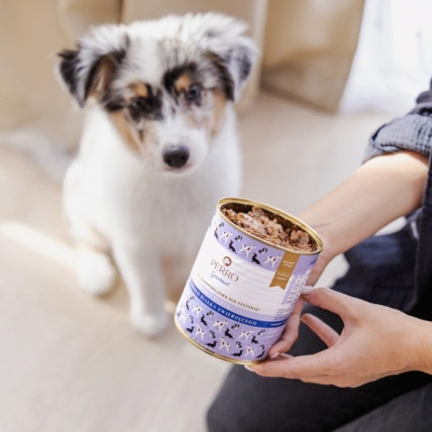PERRO Gourmet Junior Królik z dynią 400g