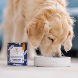 Perro morszczuk z batatem– monobiałkowa formuła dla psów dorosłych 400g