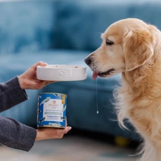 Perro sardynka z cukinią – monobiałkowa formuła dla psów dorosłych 400g