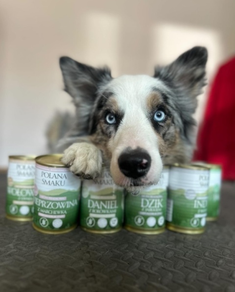 Polana Smaku dla szczeniąt - Indyk z borówkami 400g