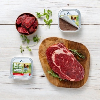 RAW PALEO PATE MINI ADULT BEEF - mokra karma dla psów dorosłych - wołowina