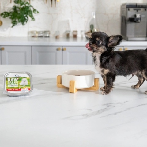 RAW PALEO PATE MINI PUPPY BEEF - mokra karma dla szczeniąt - wołowina