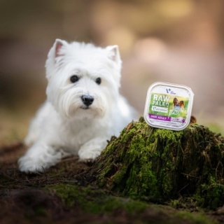 RAW PALEO PATE MINI ADULT LAMB - mokra karma dla psów dorosłych - jagnięcina