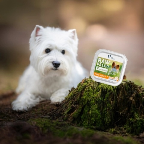 RAW PALEO PATE MINI ADULT TURKEY - mokra karma dla psów dorosłych - indyk