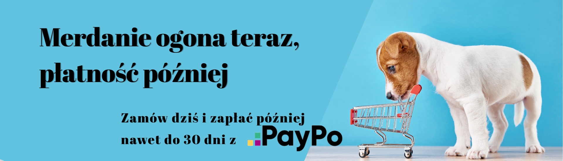 Zapłać później z PayPo
